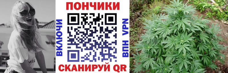 Марихуана планчик где продают Заполярный